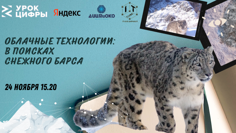 «Урок цифры» по теме «Облачные технологии: в поисках снежного барса».